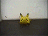 2q22s5k.gif