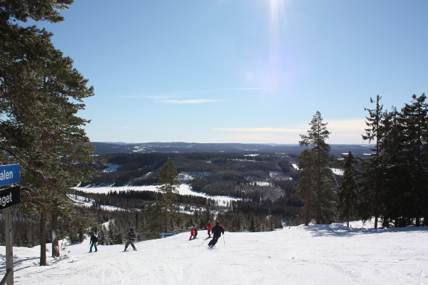 Panorama2